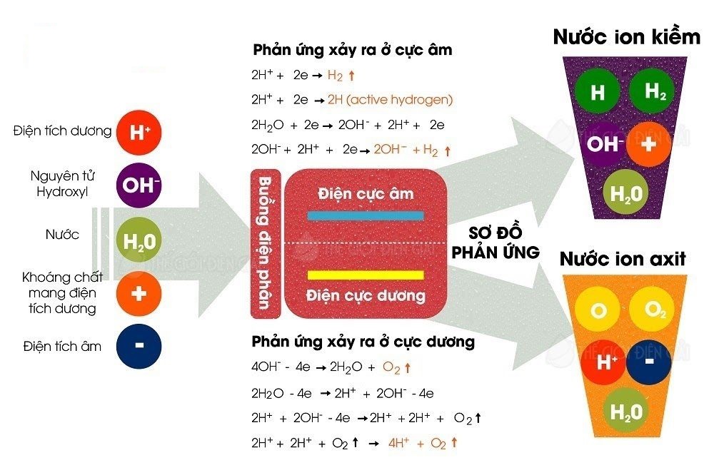 so-do-phan-ung-tao-nuoc-ion-kiem