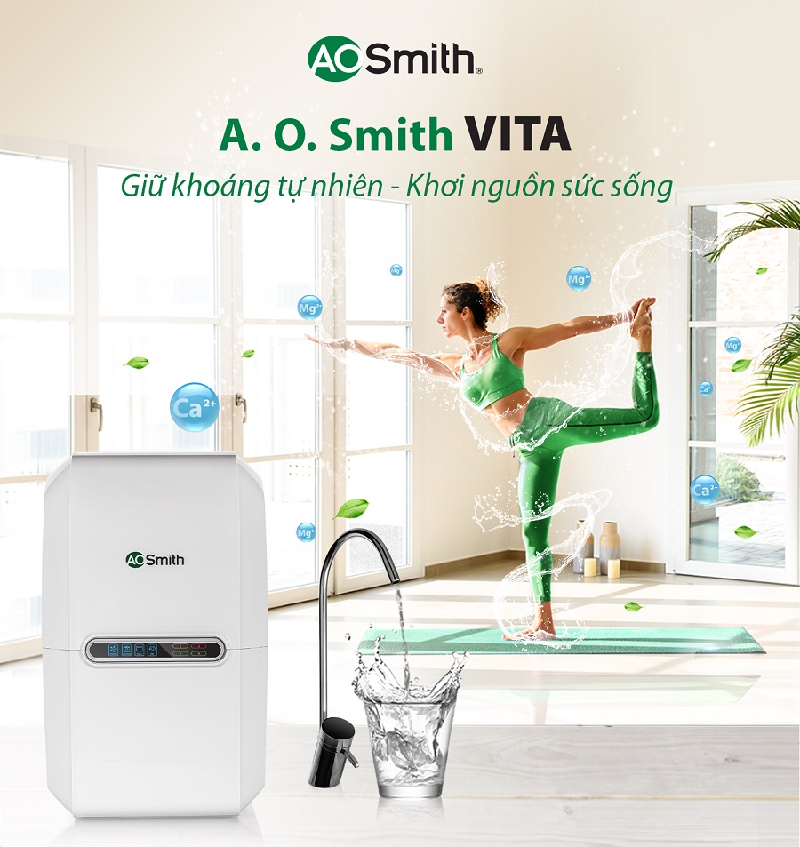 A. O. Smith VITA-01